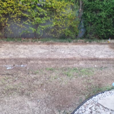 אדמה חשופה עם עשבייה מסביב, מתאים לגינון