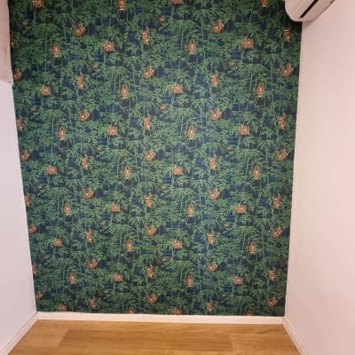 טפט עם דפוס עצלנים על רקע ירוק