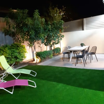 עצים ושיחים בגינה עם דשא ירוק