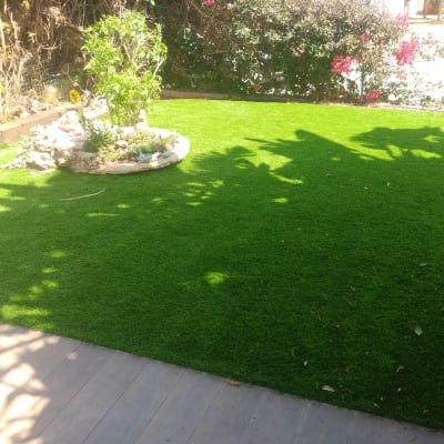 גינה עם דשא ירוק ועציץ עגול עם צמחים