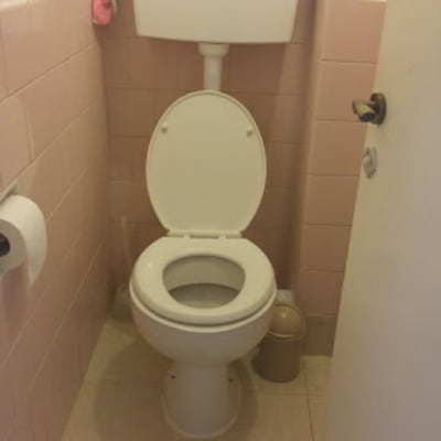 שירותים עם ניאגרה, מושב פתוח ונייר טואלט