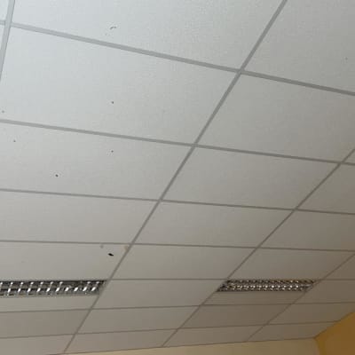 תקרת גבס עם לוחות מרובעים ותאורה שקועה