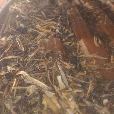 עלים יבשים מצטברים מתחת לדוד שמש