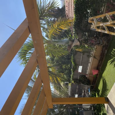 קורות עץ בגינה עם סולם ועץ דקל