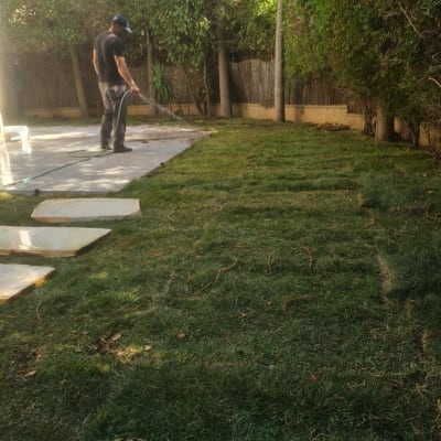 אדם משקה דשא עם צינור בגינה