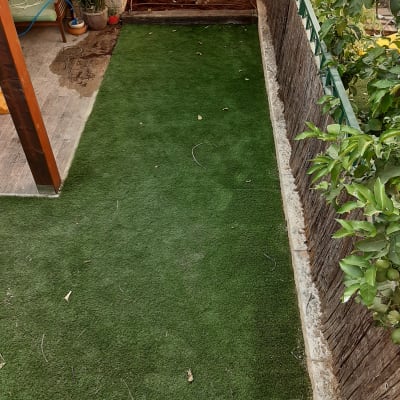 דשא סינתטי, עצים, צינור השקיה, עציצים