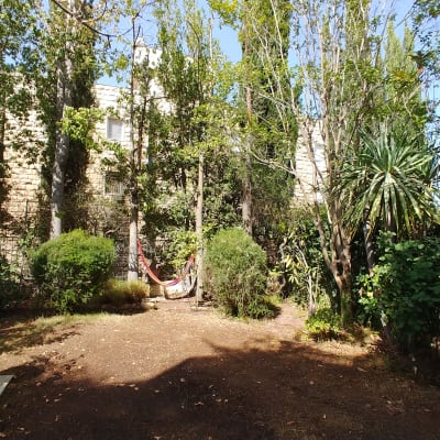 עצים ושיחים בגינה עם אדמה חשופה