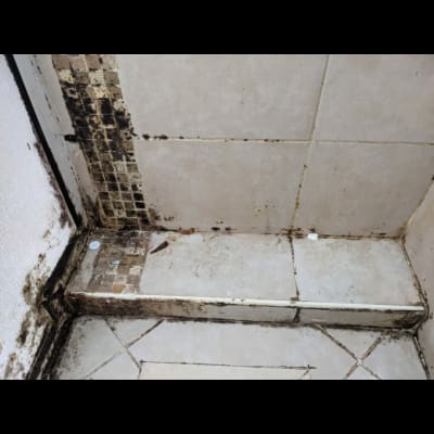 פטריות עובש על אריחים במקלחת, זקוק לאיטום מחדש