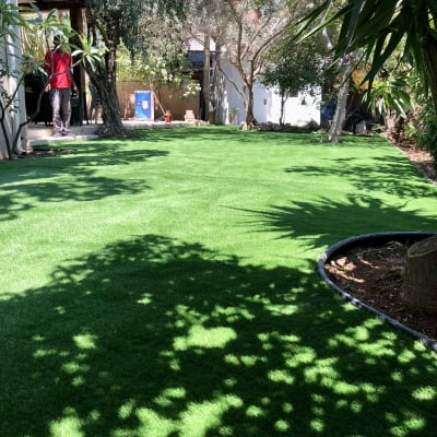 דשא ירוק עם עצים מסביב וצללים על הקרקע