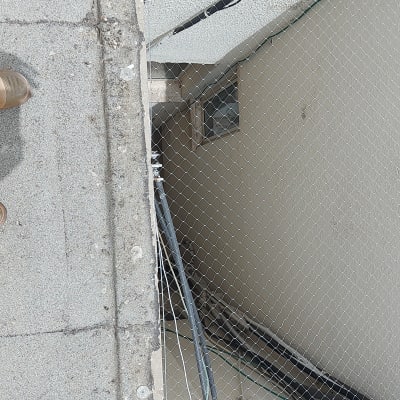 רשת מתכת מותקנת למניעת כניסת יונים במבנה