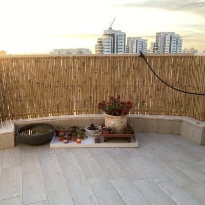 מרפסת עם רצפת עץ נקייה וצמחים בעציצים