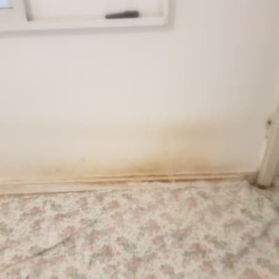 קיר עם כתמי לכלוך ויריעת בד על הרצפה