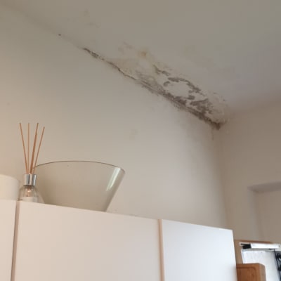 כתם רטיבות ועובש על תקרה לבנה