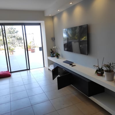 סלון עם קיר צבוע בצבע אפור בהיר