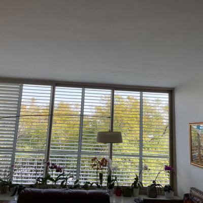 תריסי אלומיניום על חלון גדול עם נוף עצים