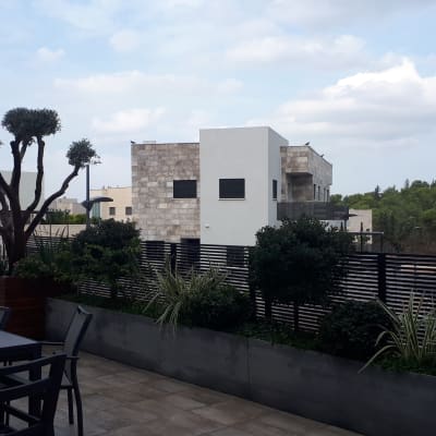 עץ גזום בעציץ על מרפסת