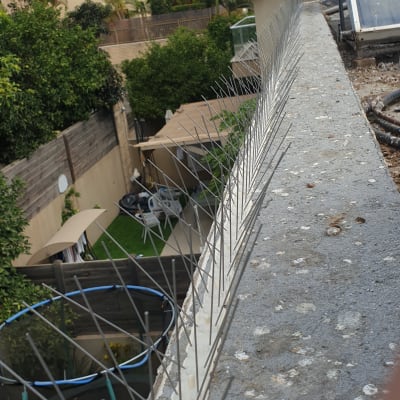 דוקרנים למניעת יונים על גג בטון