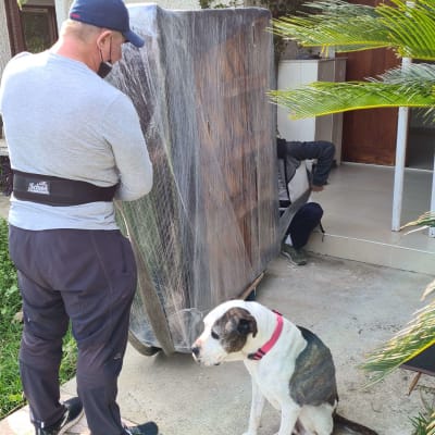 אדם מזיז רהיט עטוף בניילון על עגלה