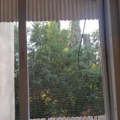חלון אלומיניום עם רשת נגד יתושים