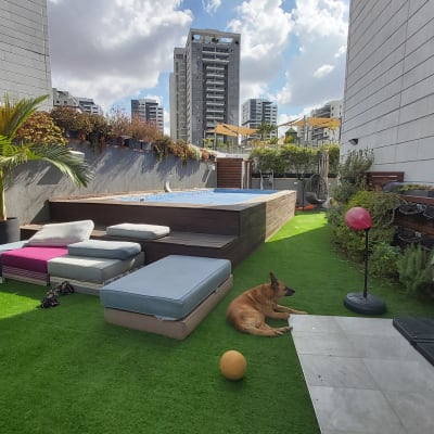 עציצים עם צמחים ירוקים ליד בריכה בגינה