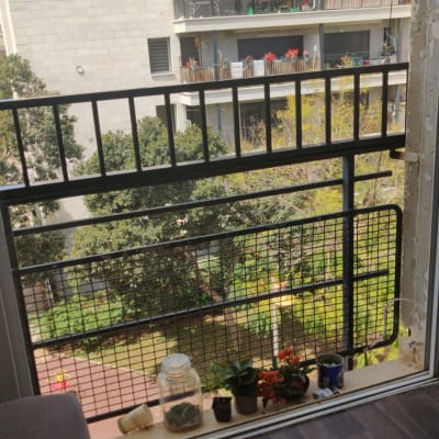 מסגרת חלון עם עציצים על אדן החלון