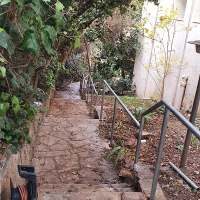 מעקה מתכת לאורך שביל אבן עם צמחייה