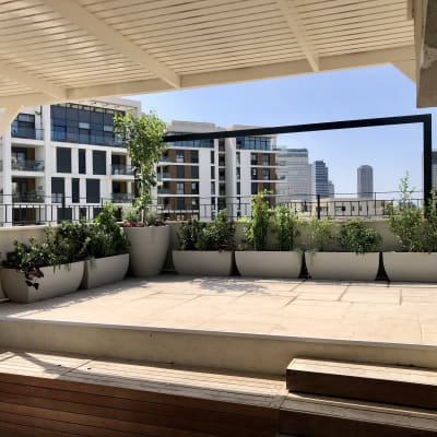 עציצים עם צמחים על מרפסת גג עירונית