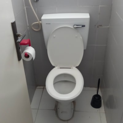 אסלה עם מברשת שירותים ומתקן נייר טואלט