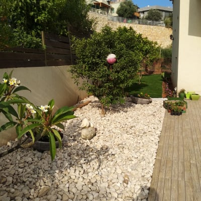 גינה עם עצים, שיחים ואבנים לבנות