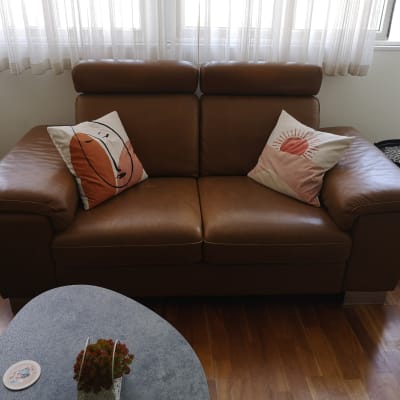 ספת עור דו מושבית