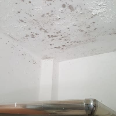 כתמי עובש על תקרת חדר אמבטיה