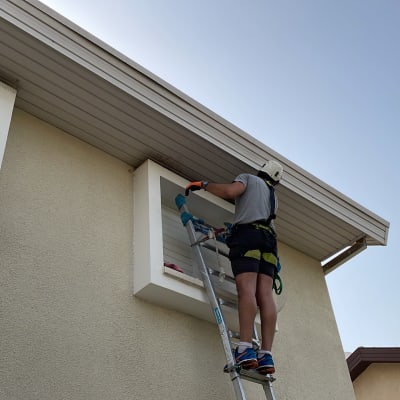 אדם על סולם מסיר יונים מחלון