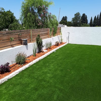 ערוגת פרחים עם צמחים ודשא ירוק