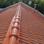 גג רעפים אדום עם ארובה וצלחת לוויין
