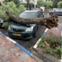 עץ נפל על מכונית חונה וגרם לנזק.