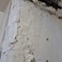 קיר עם טיח מתקלף ונזקי רטיבות
