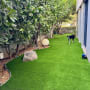דשא מלאכותי ועצים בגינה פרטית