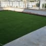 דשא סינתטי מותקן בחצר מגודרת