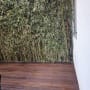 רצפת עץ עם צמחייה ירוקה בצד