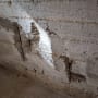 קיר בטון עם סדקים ונזקי טיח