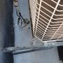 ציפוי איטום לבן סביב יחידת מיזוג אוויר