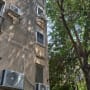 Tree branches near building with air conditioners