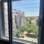רשת יונים מותקנת על חלון למניעת כניסת יונים