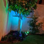 עץ קטן עם פרחים, תאורה צבעונית בגינה
