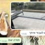 מרפסת נקייה עם רצפת אריחים בהירה
