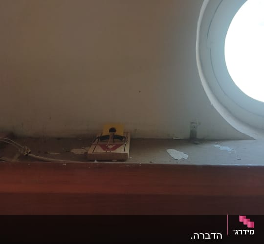 מלכודת קפיץ למכרסמים מונחת על מדף בבית