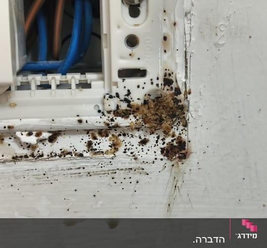 תמונה של קיר עם סימני עובש ולכלוך