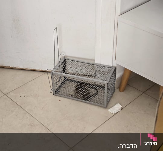 מלכודת עכברים עם עכבר בפנים על רצפה ליד קיר
