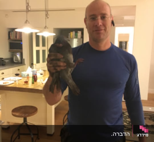 גלעד והיון. גלעד והיון ששוחרר לחופשי בריא ושלם