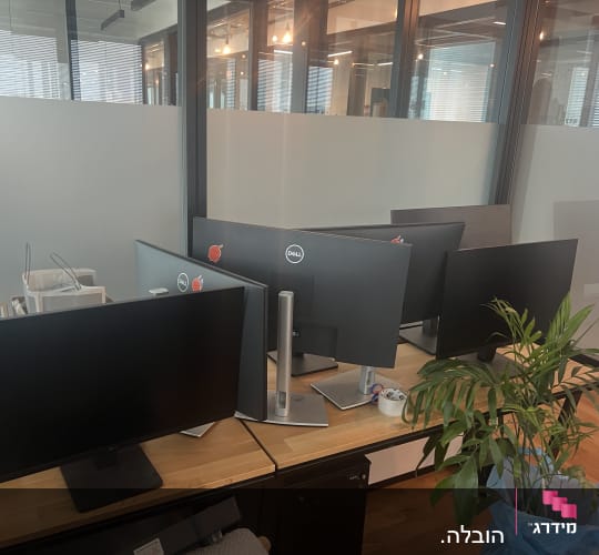 מסכים ומחשב במשרד עם צמח ירוק